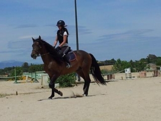 horse riding classes 